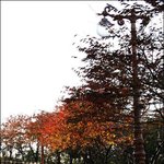 거칠산국의 모습. <b>태조</b> 정금진 (거칠산국) 왕조 복원 프로젝트.