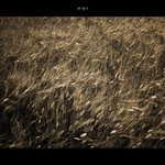바람이 <b>분다</b>.