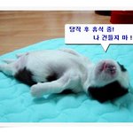 <b>휴식</b>중 건들지마
