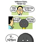 부러운 <b>성게</b>군