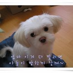 <b>견우</b> 사진