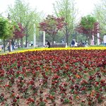 <b>꽃동산</b>
