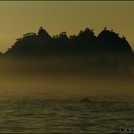 좋은 화면올립<b>니더</b>예5
