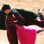 <b>투우사</b>