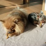 일광욕하며 맛있게도 <b>냠냠</b>~~