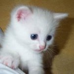 오늘의 <b>마자</b>막
