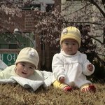 쌍둥이 사진