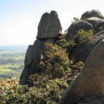 <b>용봉산</b>