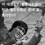 <b>싱하</b>형이 사라진이유