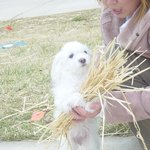 영원한 내 사랑.....