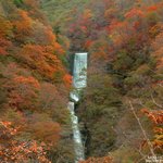 좀 더 올립<b>니더</b>예6