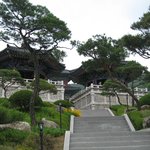 고목과소나무 <b>사찰</b>
