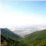 봄의계절,산에왕림하시다..ㅋ