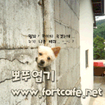 유명한 사진이라죠.. <b>개벽</b>이-ㅅ-;