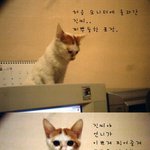 <b>자자</b>~~포즈잡고