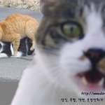 <b>부부클리닉</b> '불륜'편