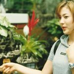 송혜교에요 '-'