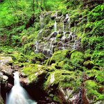 <b>지리산</b>