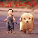 <b>신구</b>와 파트라슈..-_-