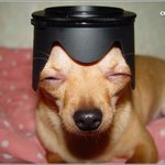 <b>삼장법사</b>가 다시 환생을 했다네요 ^^;
