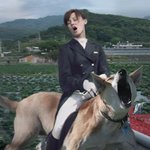 표정 <b>압권</b>
