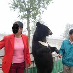 동물도 피어싱을?
