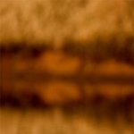 아름다운 <b>투영</b>... (9)