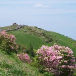 <b>소백산</b> 철쭉 14