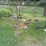 야외<b>던전</b> 저랑 갈 검사 모집