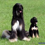 로이터가 선정한 올해의 보도 사진들