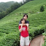 멋진 <b>보성</b>녹차밭에서..