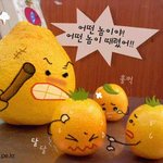 <b>깡패</b>스런 귤들~