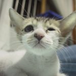 <b>경악</b>이오 <b>경악</b>~ 캬~