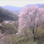 많이는 안올립<b>니더</b>예20