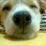 <b>우왕</b>.. 쿨쿨