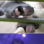 안녕~<b>난</b> 민이라고<b>해</b>~