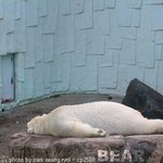여기는 에버랜드 <b>곰탕</b>