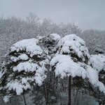 눈 내린 <b>청계산</b> 무재봉