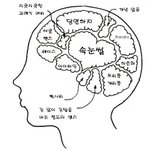 게리롱<b>여사</b> 이지현의 뇌구조