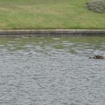 서원<b>밸리</b>의 새 식구..