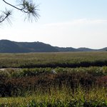 <b>시화호</b>갈대습지공원6