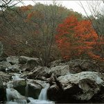 <b>치악산</b>