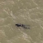 피피섬 <b>해일</b> 휴양지서 떠다니는 시신