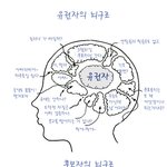 유권자 후보자의 뇌<b>구조</b>