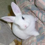 <b>귀여</b>브...깨물어주구싶옹...>_<;;;