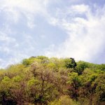 오대산의 아름다운 <b>전경</b>