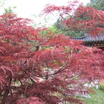 어느 <b>사찰</b>-경기도 가평군4