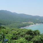 <b>천연</b>기념물 233호 - 거제 학동 동백림 및 팔색조 번식지