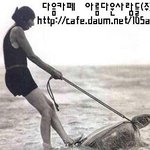 친환경적인 수상<b>스키</b>