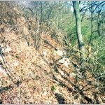 <b>배반</b>의 고장